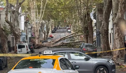 Captura de pantalla 2026-04-08 165946