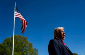 Captura de pantalla 2026-04-12 170752