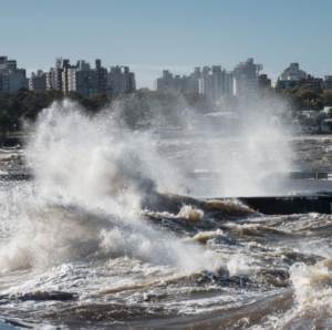 Captura de pantalla 2026-04-26 142705