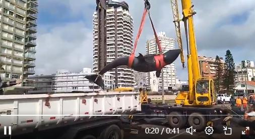 Captura de pantalla 2026-04-27 163703