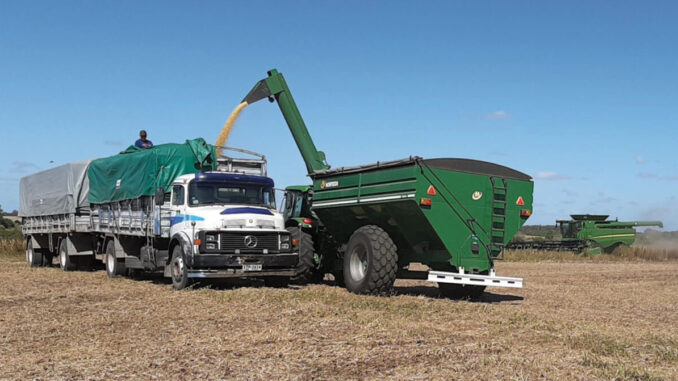 Granos-zafra-678x381