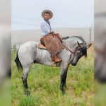 Del pueblo de 175 personas a ser viral en redes: Alexis y los secretos para domar caballos