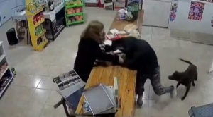 Captura de pantalla 2026-07-02 182217