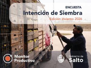 SIEMBRA