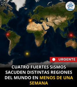 Captura de pantalla 2026-08-15 113217