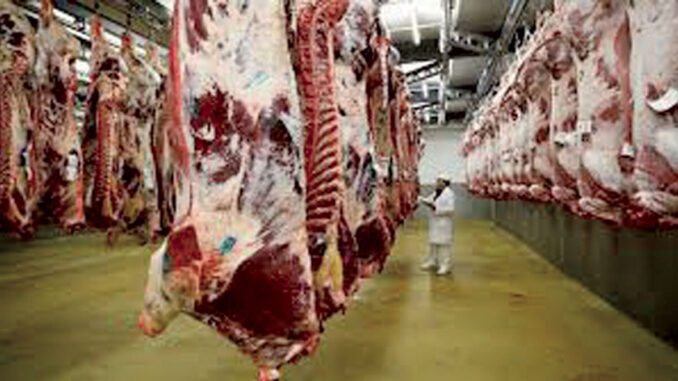Carne-faenada-678x381