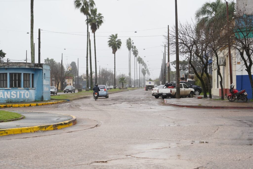 Rodó