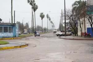 Rodó