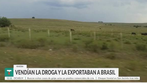 Captura de pantalla 2026-09-09 172432