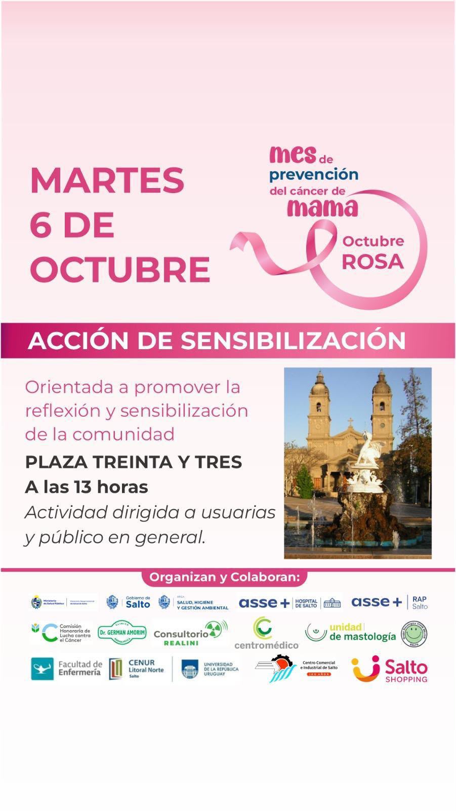 OCTUBRE ROSA (2)